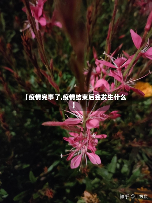 【疫情完事了,疫情结束后会发生什么】