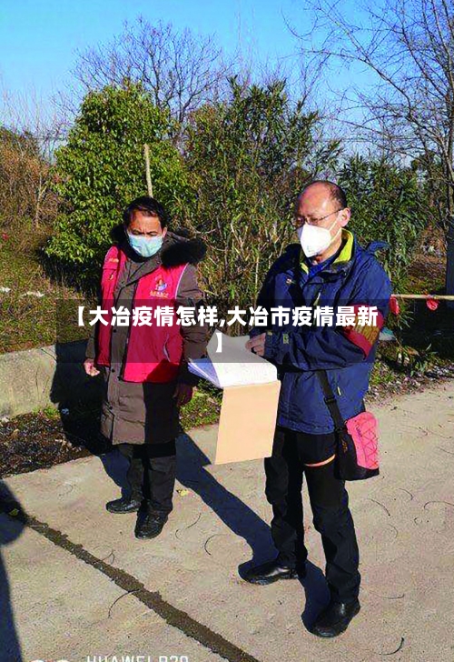 【大冶疫情怎样,大冶市疫情最新】-第2张图片