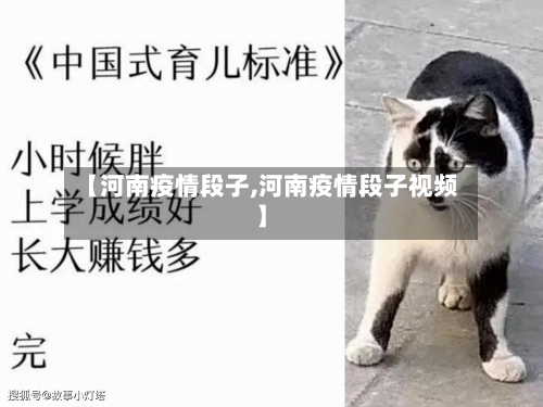 【河南疫情段子,河南疫情段子视频】-第2张图片