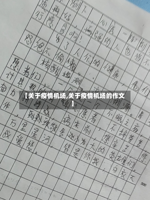 【关于疫情机场,关于疫情机场的作文】-第2张图片