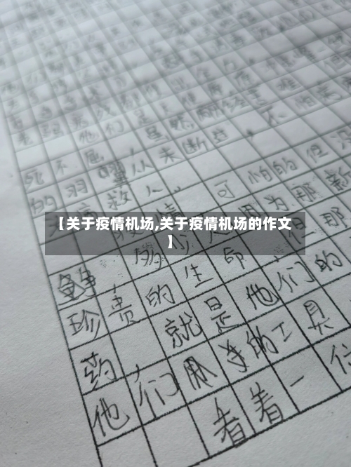 【关于疫情机场,关于疫情机场的作文】-第3张图片
