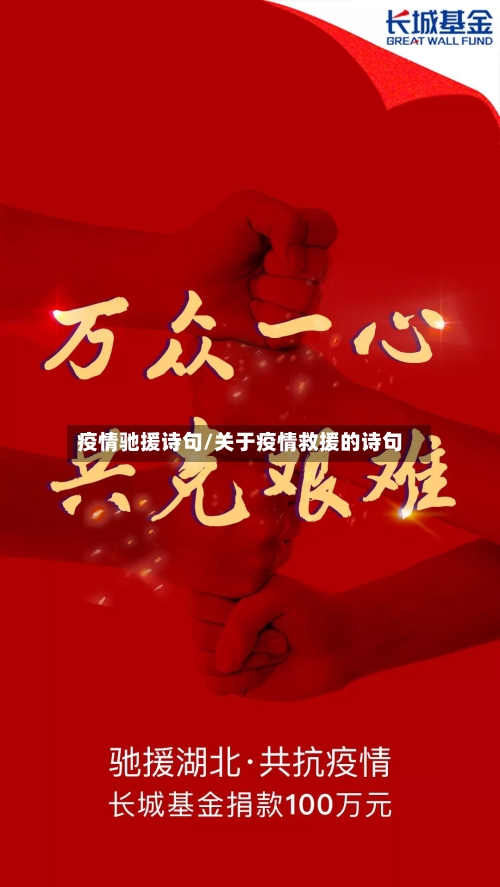 疫情驰援诗句/关于疫情救援的诗句-第2张图片