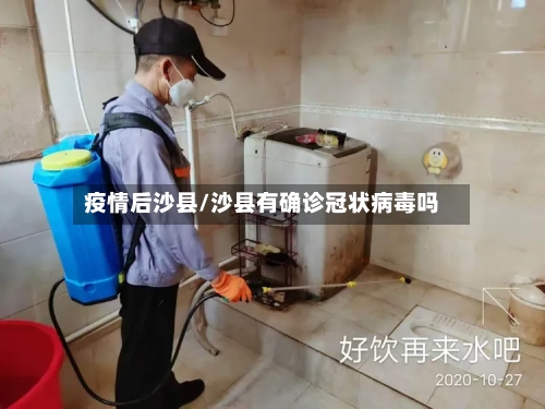 疫情后沙县/沙县有确诊冠状病毒吗-第2张图片