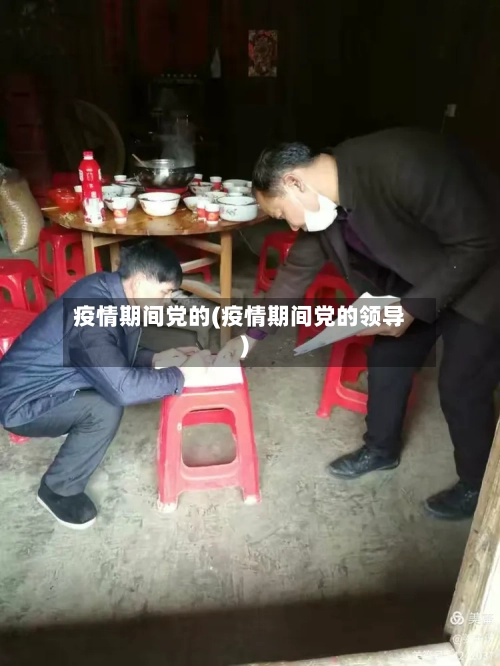 疫情期间党的(疫情期间党的领导)-第2张图片