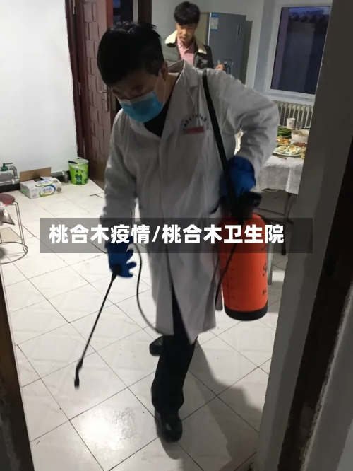 桃合木疫情/桃合木卫生院-第3张图片