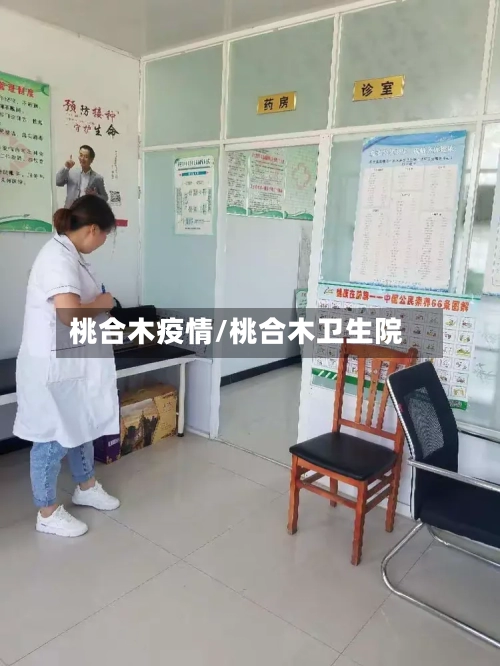 桃合木疫情/桃合木卫生院