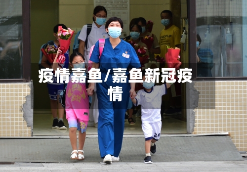 疫情嘉鱼/嘉鱼新冠疫情