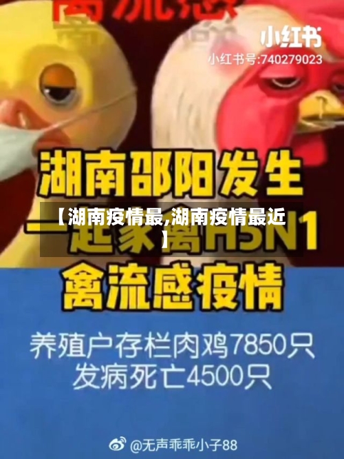 【湖南疫情最,湖南疫情最近】-第2张图片