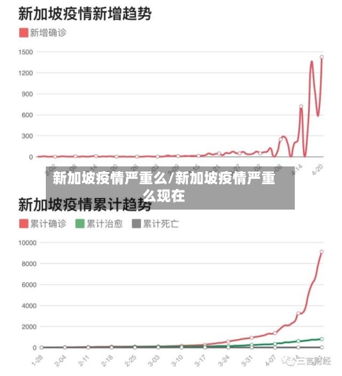 新加坡疫情严重么/新加坡疫情严重么现在-第2张图片