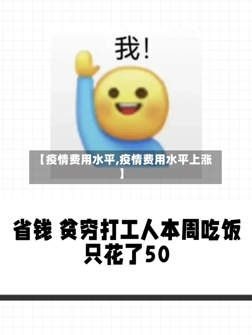 【疫情费用水平,疫情费用水平上涨】-第2张图片