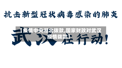 【疫情中央湖北拨款,国家财政对武汉疫情拨款】