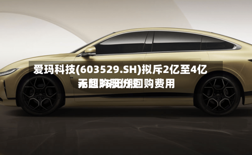 爱玛科技(603529.SH)拟斥2亿至4亿元回购股份 回购费用不超35元/股
