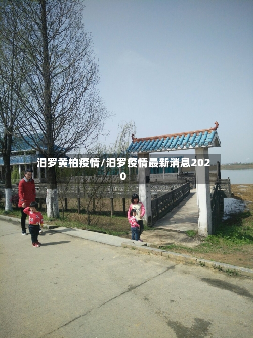 汨罗黄柏疫情/汨罗疫情最新消息2020-第2张图片