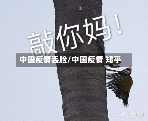 中国疫情丢脸/中国疫情 知乎-第2张图片
