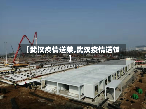 【武汉疫情送菜,武汉疫情送饭】-第2张图片