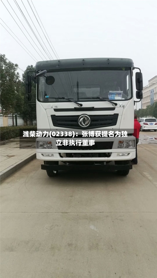 潍柴动力(02338)：张博获提名为独立非执行董事-第2张图片